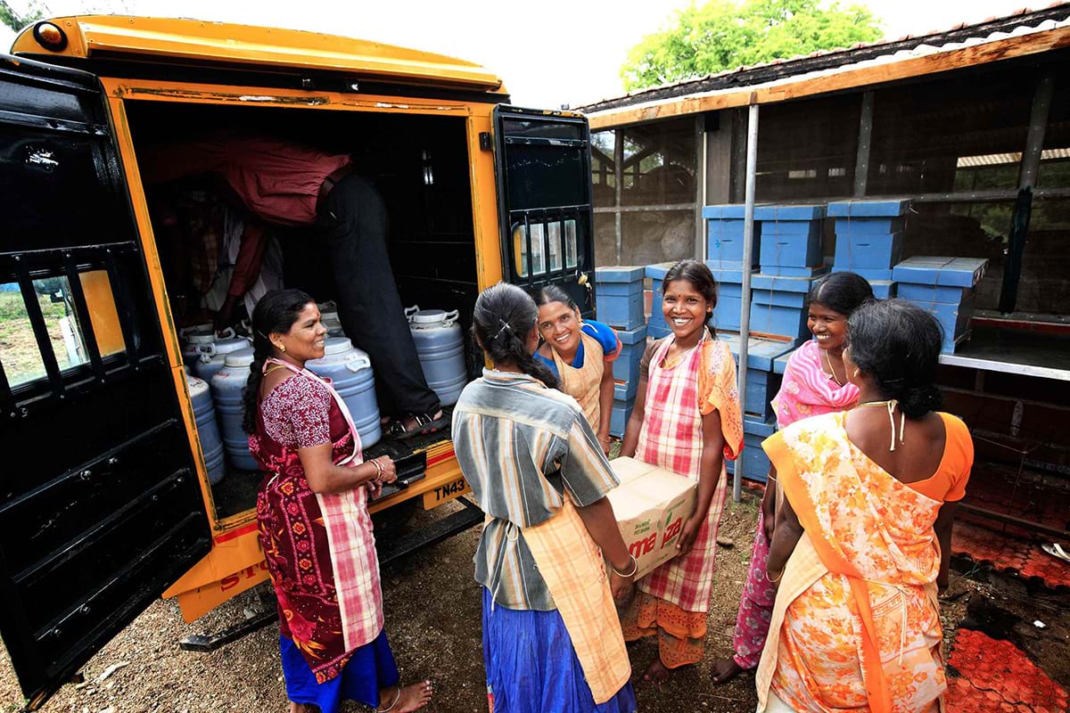 Six Indian women chat while they load honey into the back of a cargo truck